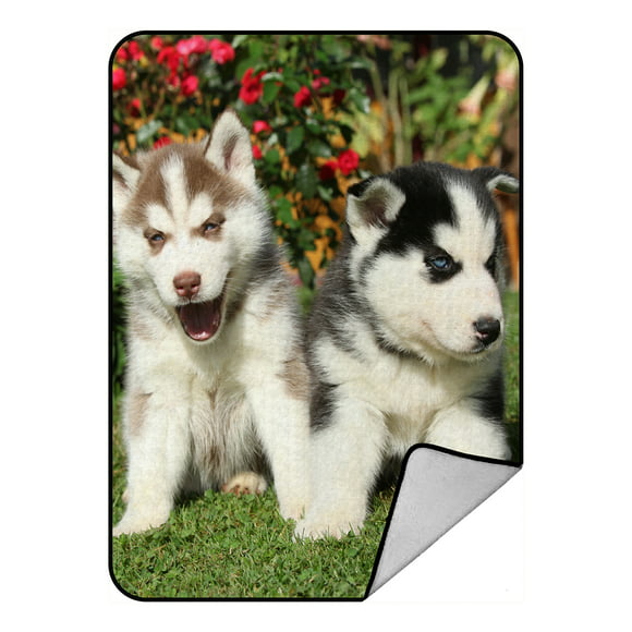 Cozy Plush for Indoor and Outdoor Use Lunarable Dog Lover Soft Flannel Fleece Throw Blanket Multicolor 50 x 60 3 Siberian Husky on Grass Flowers Nature Outdoors Summertime Family Friend 